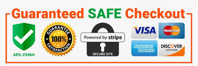 secure checkout secure checkout